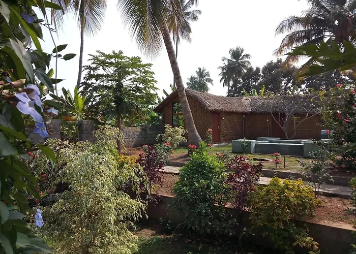 Little Banana Homestay