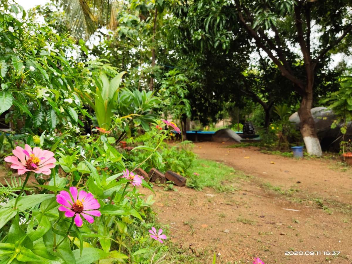 Lotus Riya Homestay Hampi