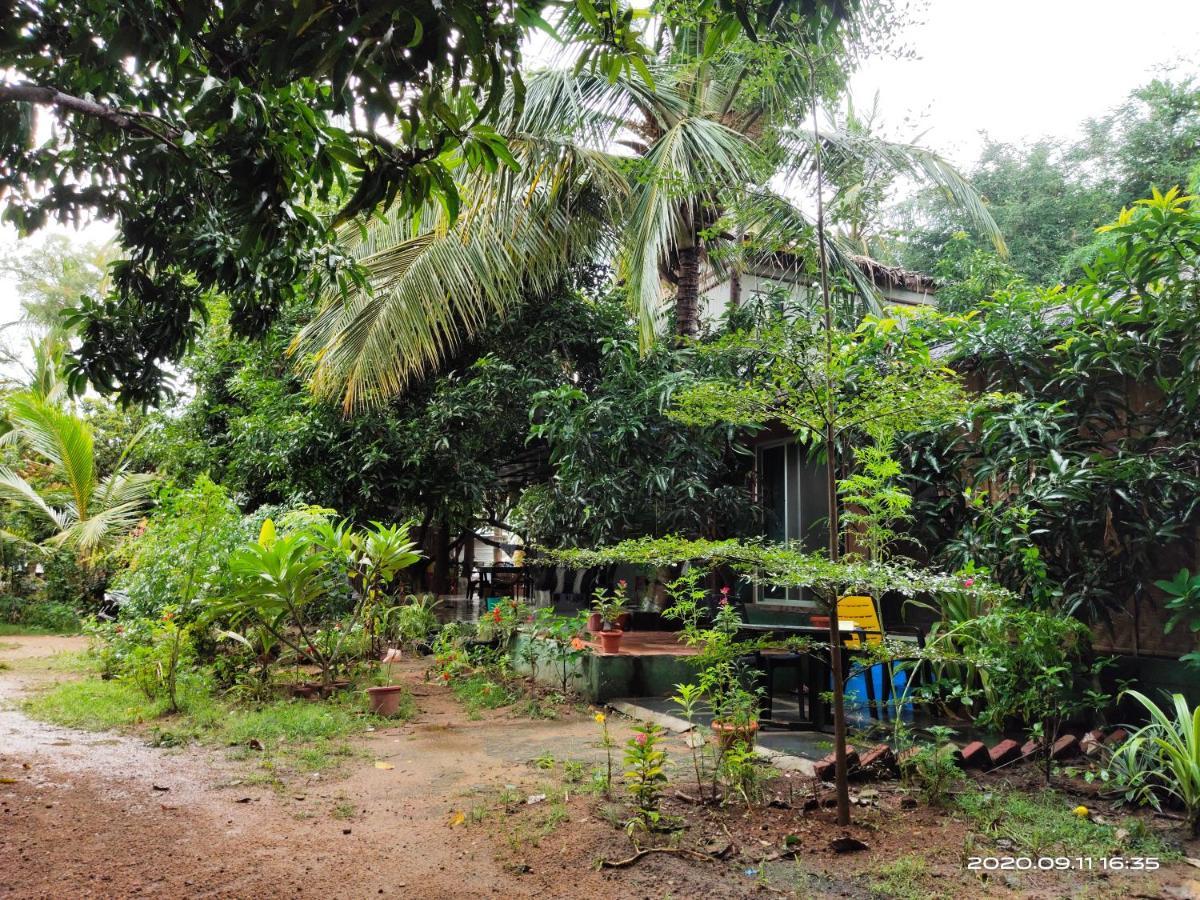 Homestay Lotus Riya Homestay