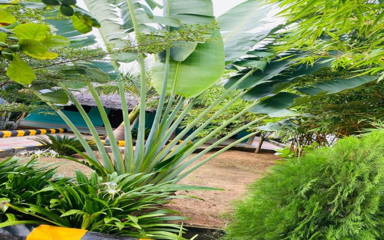 Megha Resort *