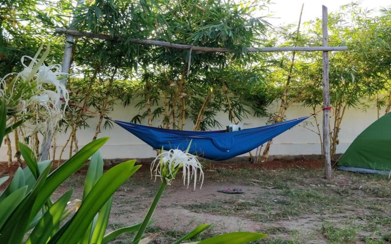 Megha Hampi