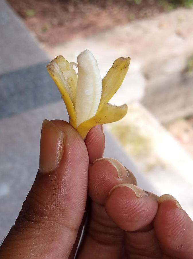 Little Banana * Hampi