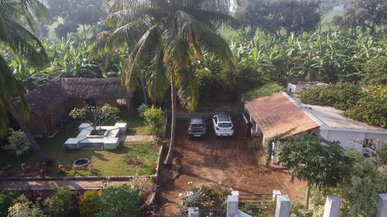 Little Banana Homestay *