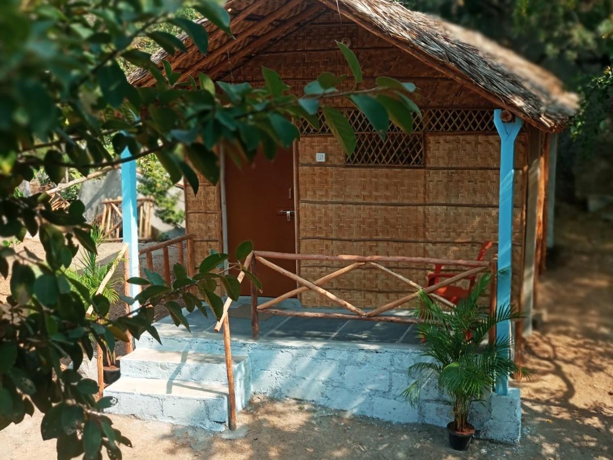 Hostel Nature