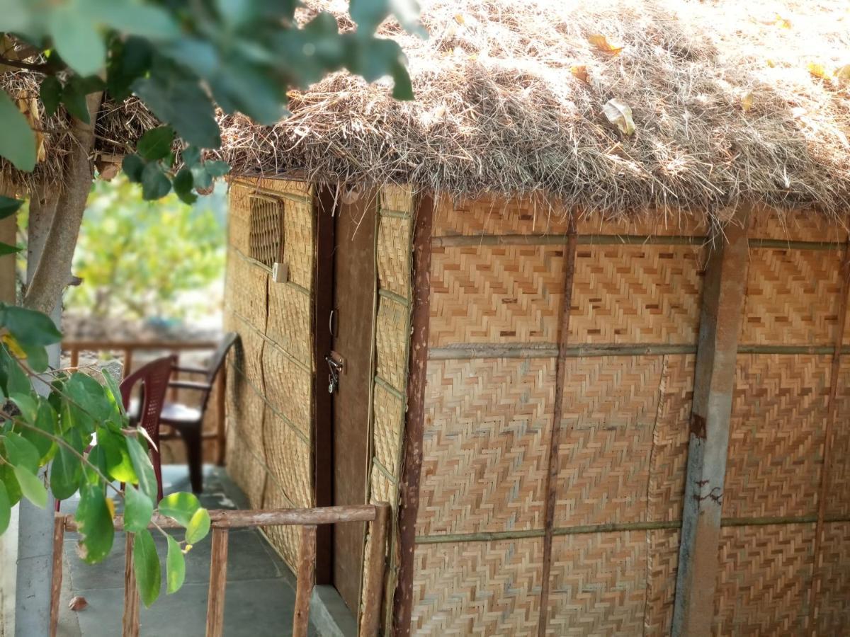 Hostel Nature *