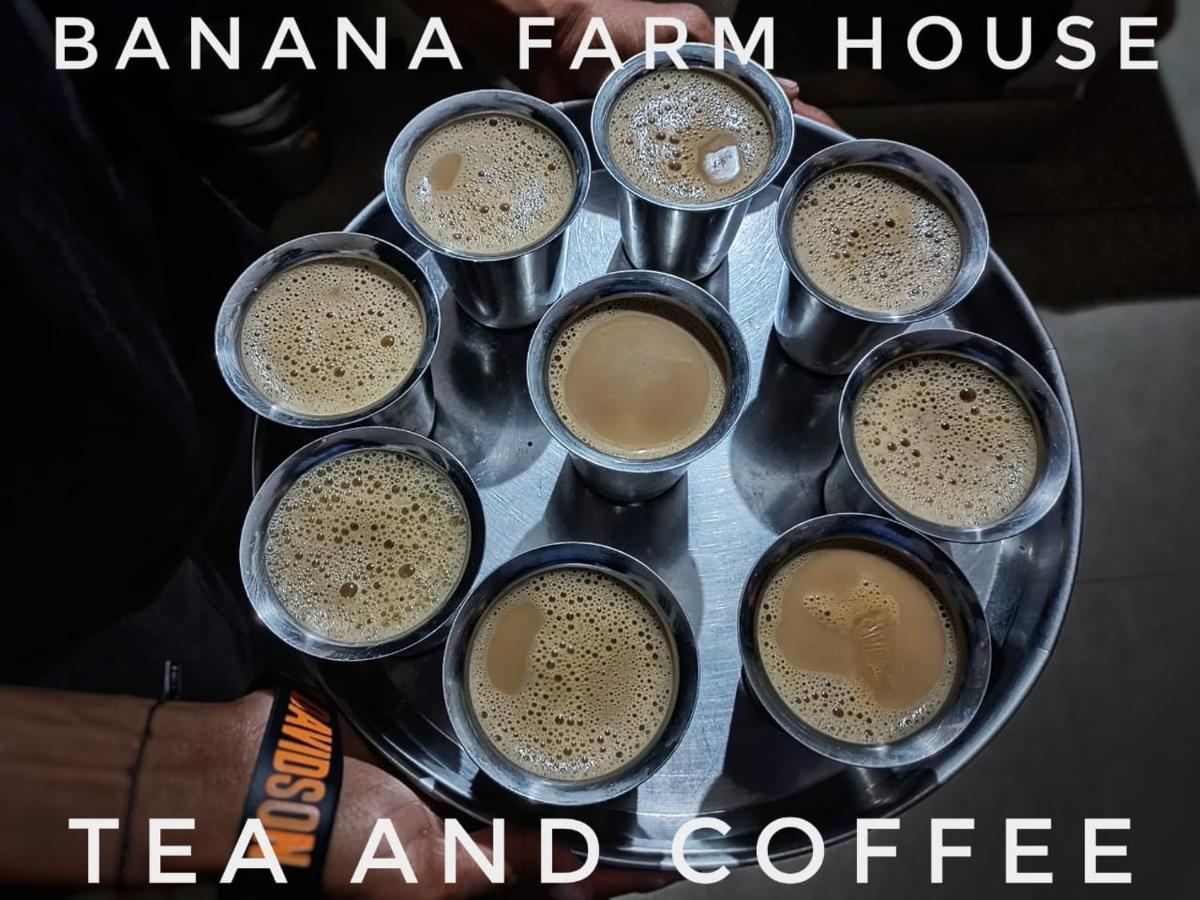 Homestay Banana Hampi