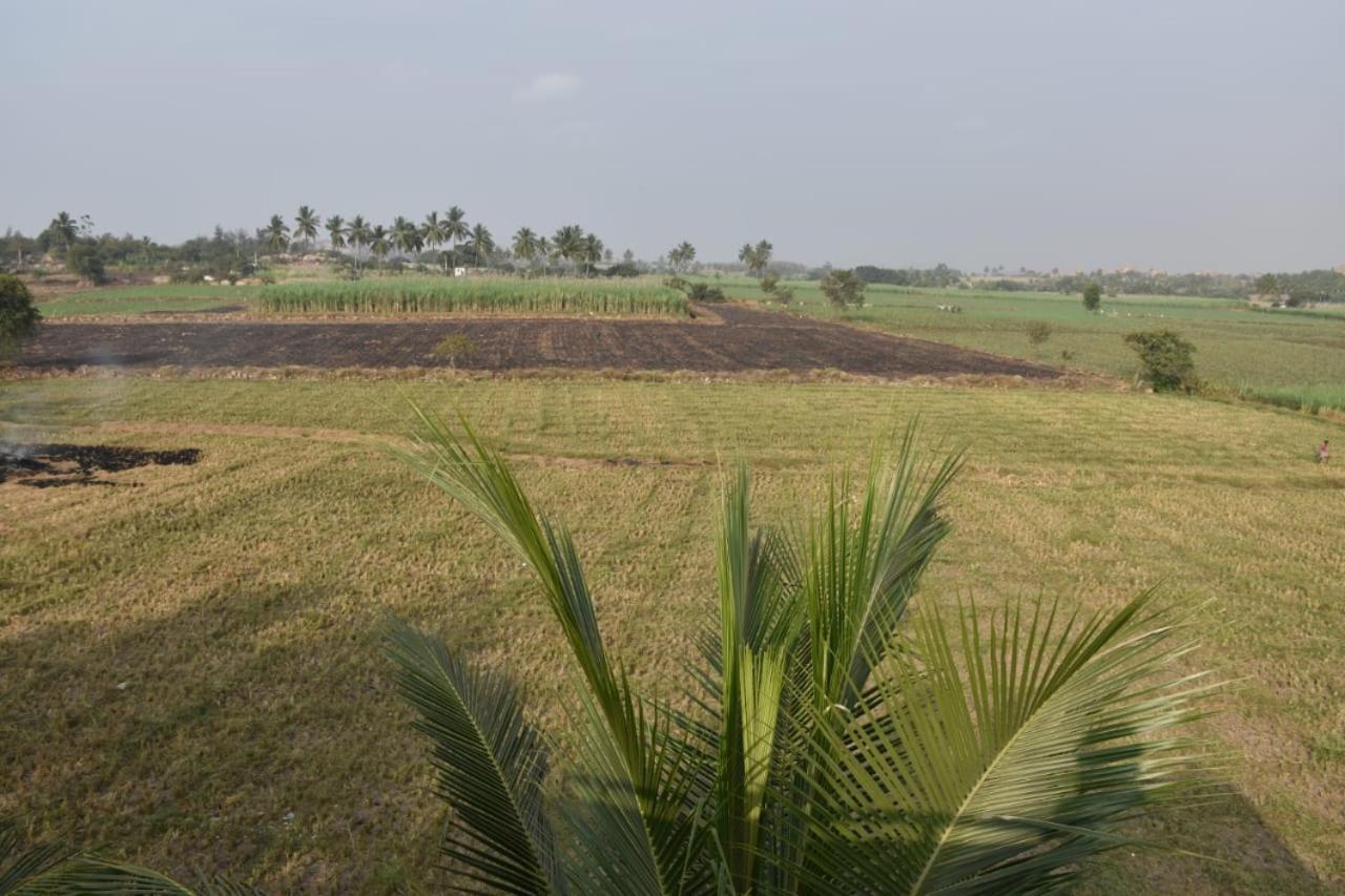 Coconut Homestay Hampi