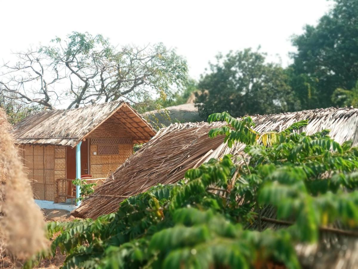 Nature Hostel