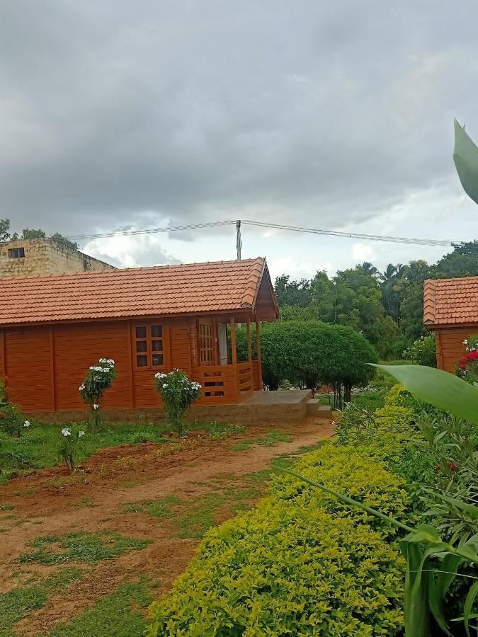 Leo Wodden Resort Hampi