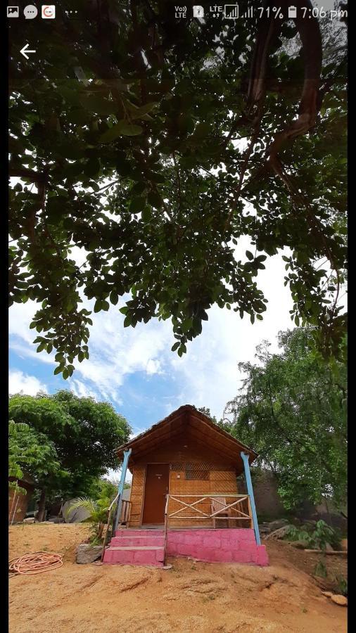 Nature Hostel *