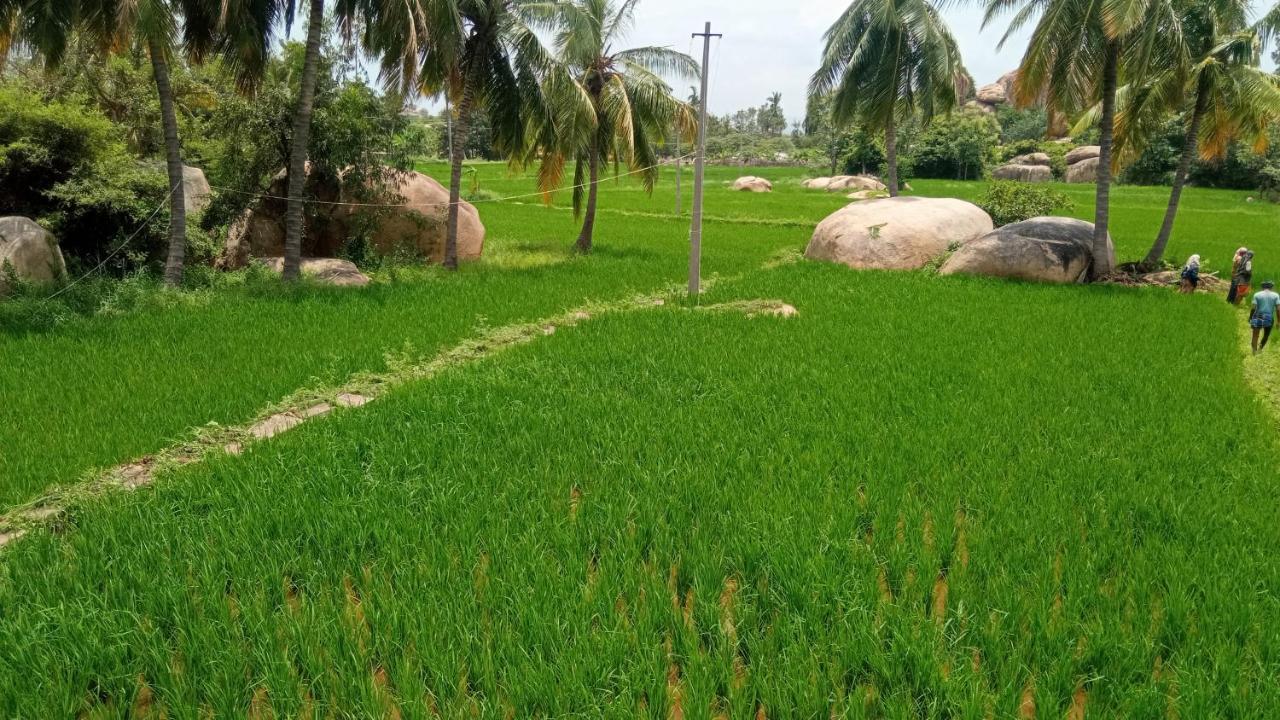 Gopi Plantation Homestay *
