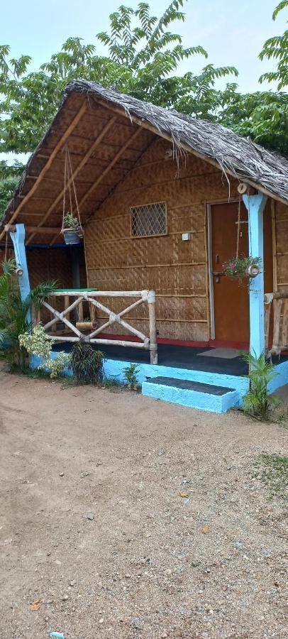 Hostel Nature *