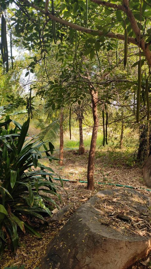 Guest house Carmel Homestay Hampi