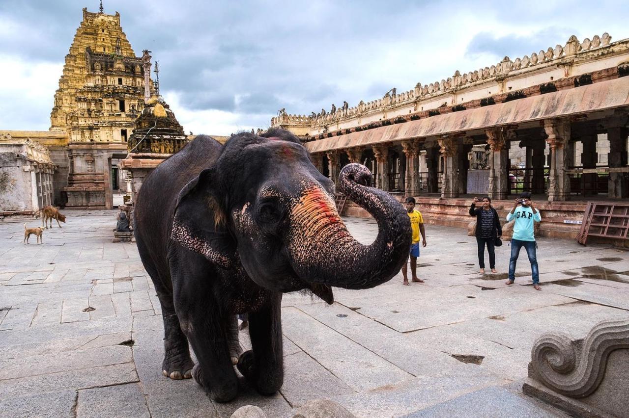 Vicky's Hampi