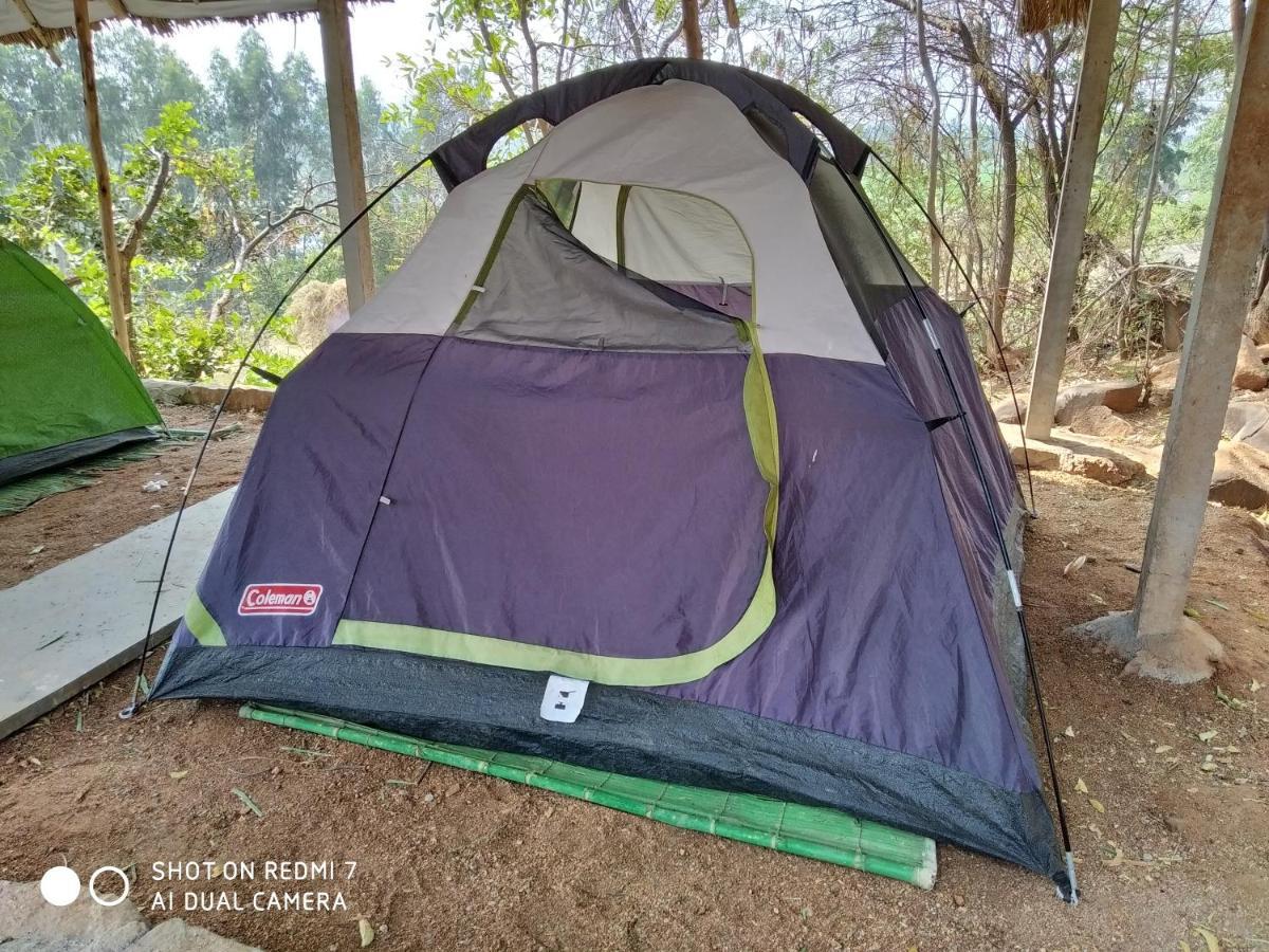 Campsite Drunken Monkey Camping Site Hampi