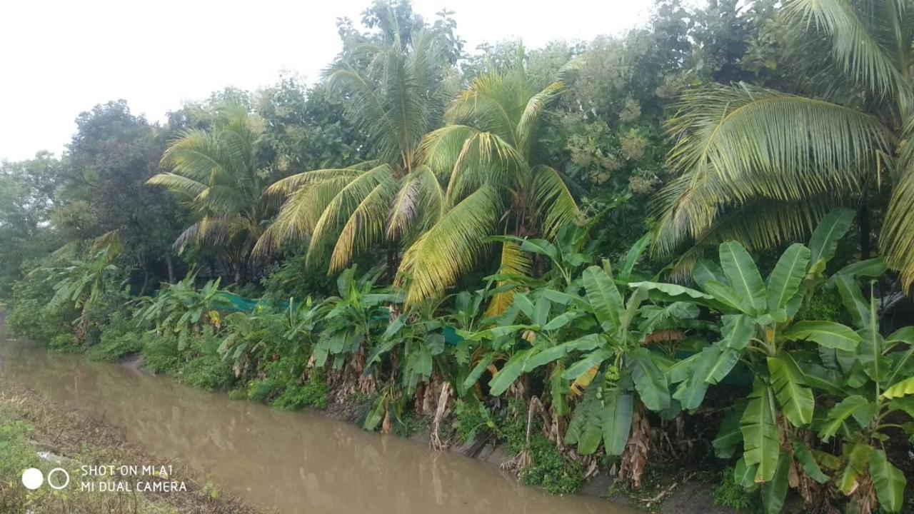 Om Shanti Om Homestay Homestay Hampi