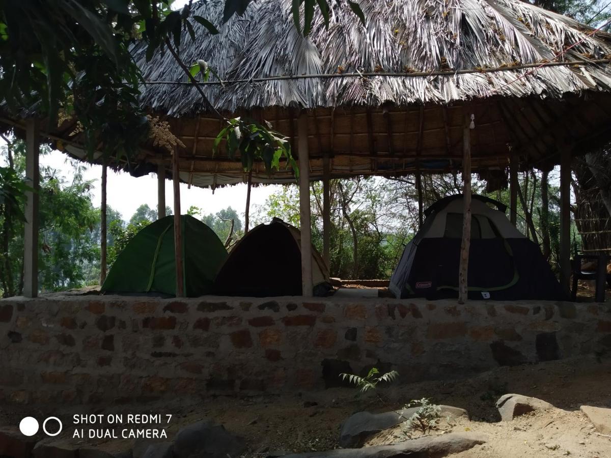 Drunken Monkey Camping Site
