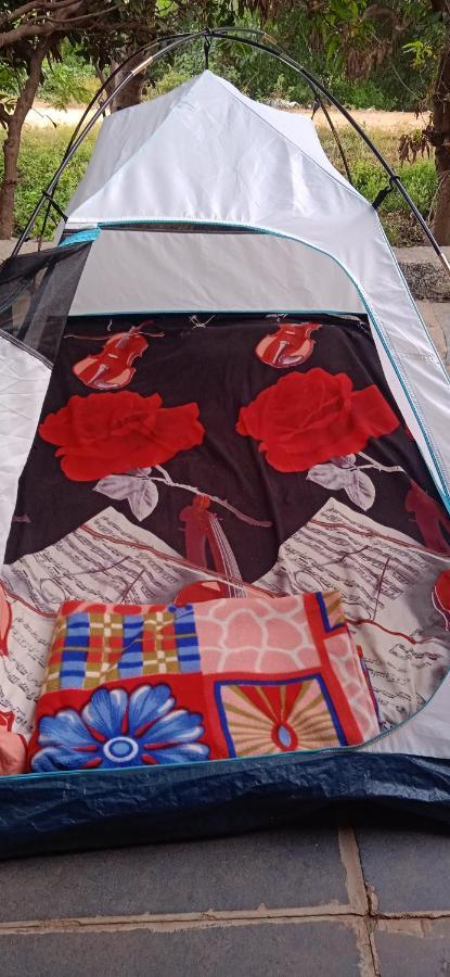 Campsite Drunken Monkey Camping Site Hampi