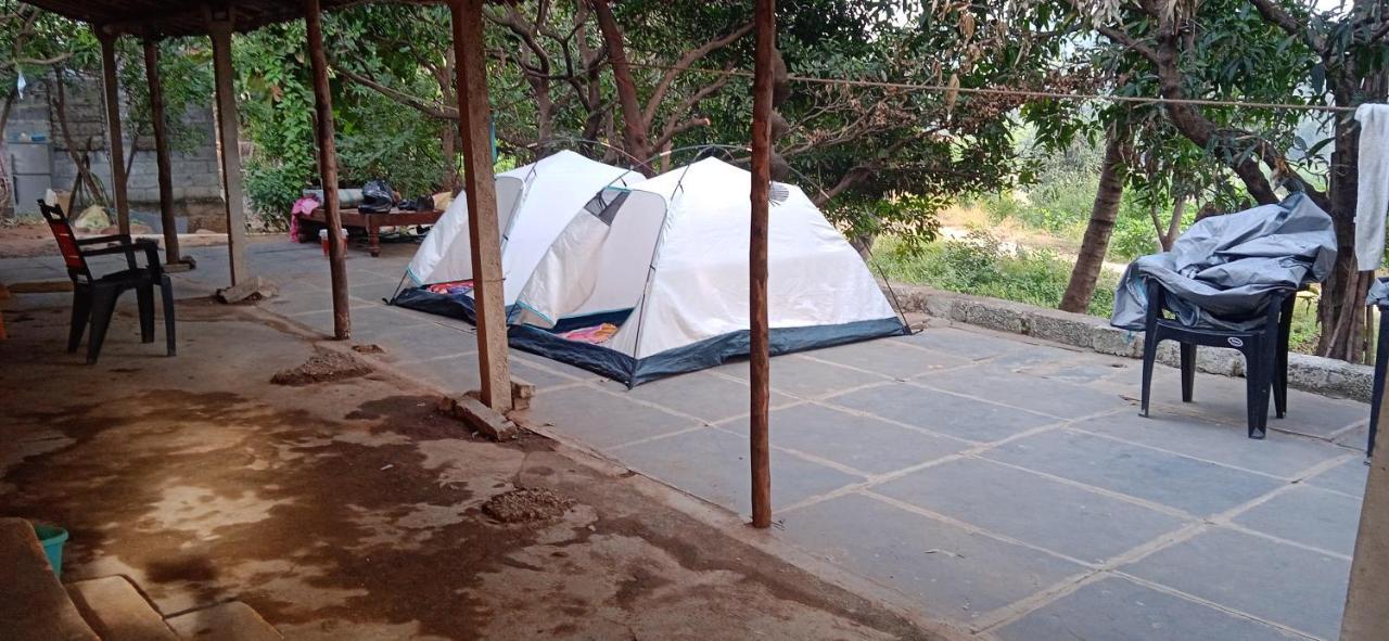 Drunken Monkey Camping Site