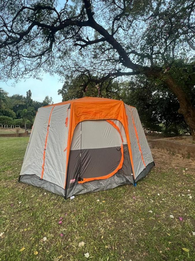 Leo Wodden Resort Bed & Breakfast *