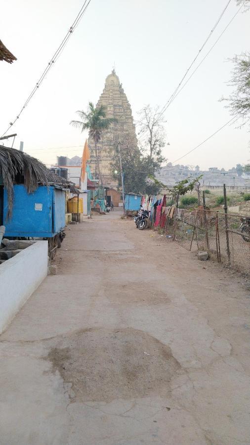 Funky Monkey * Hampi