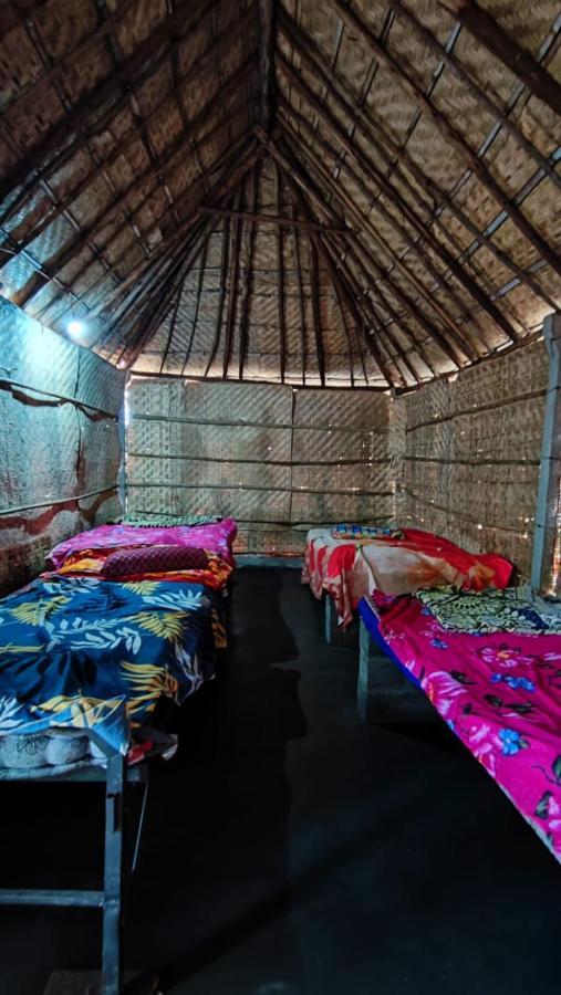 Campsite Drunken Monkey Camping Site Hampi
