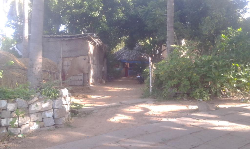 Golden Garden Hampi