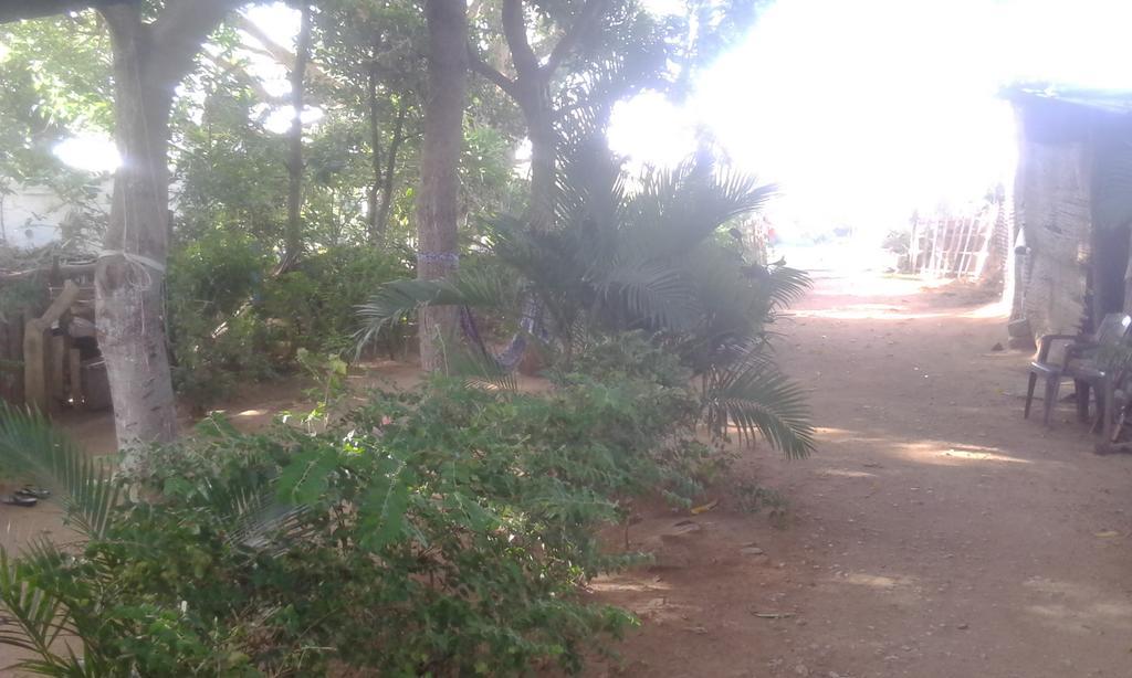 Guest house Golden Garden