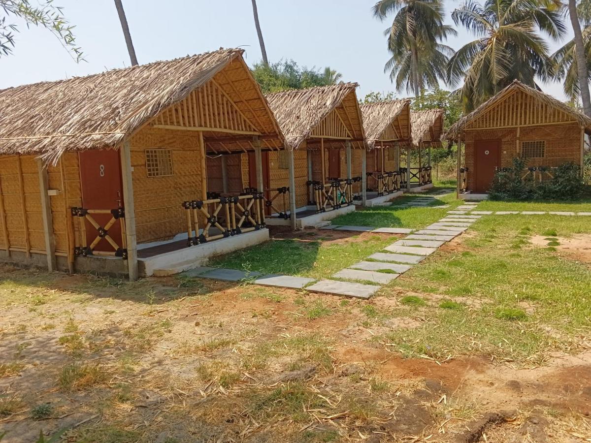 Coconut Tree Guest house Hampi