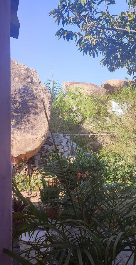Hearthspace Hampi - Small Home, A Low-Impact Backpackers Hostel Hostel *