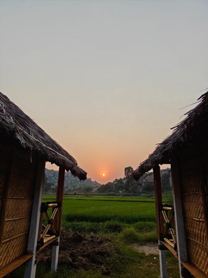 The Sundown *