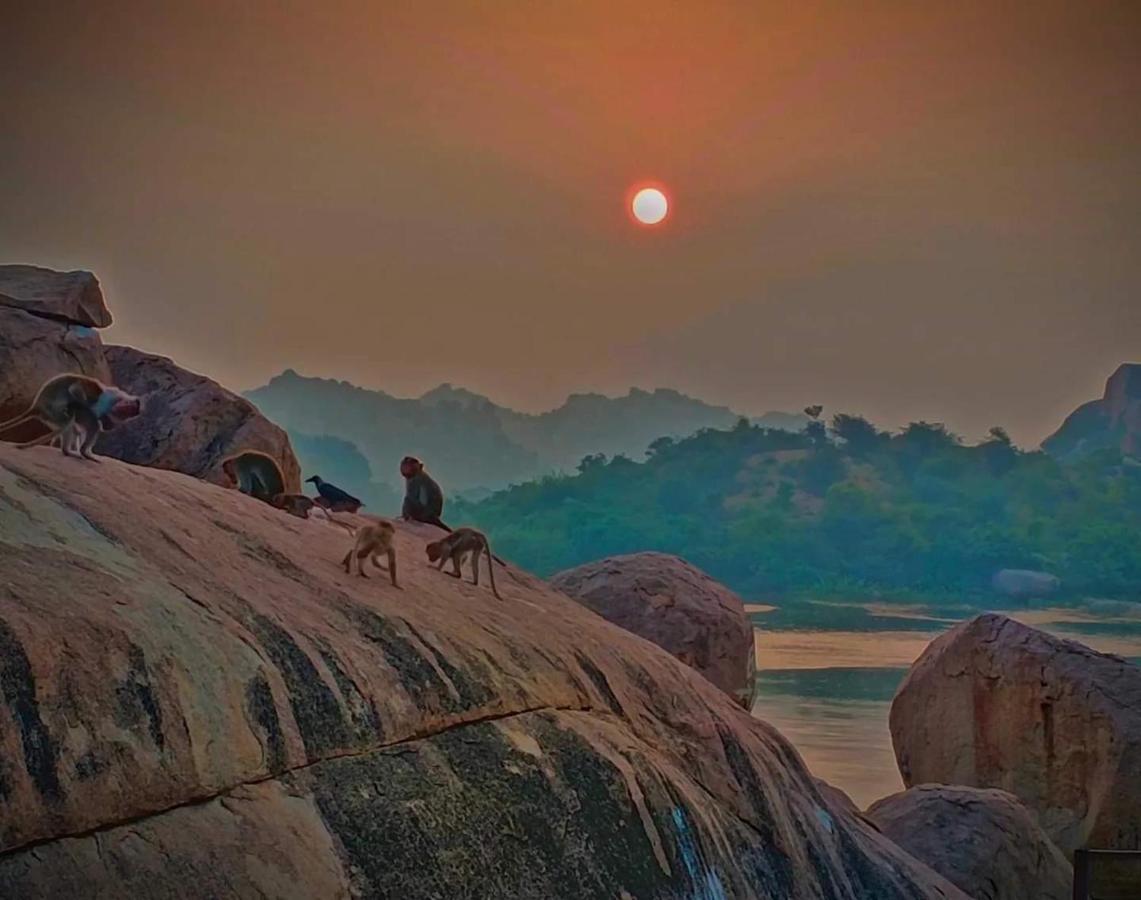 Epic Island *