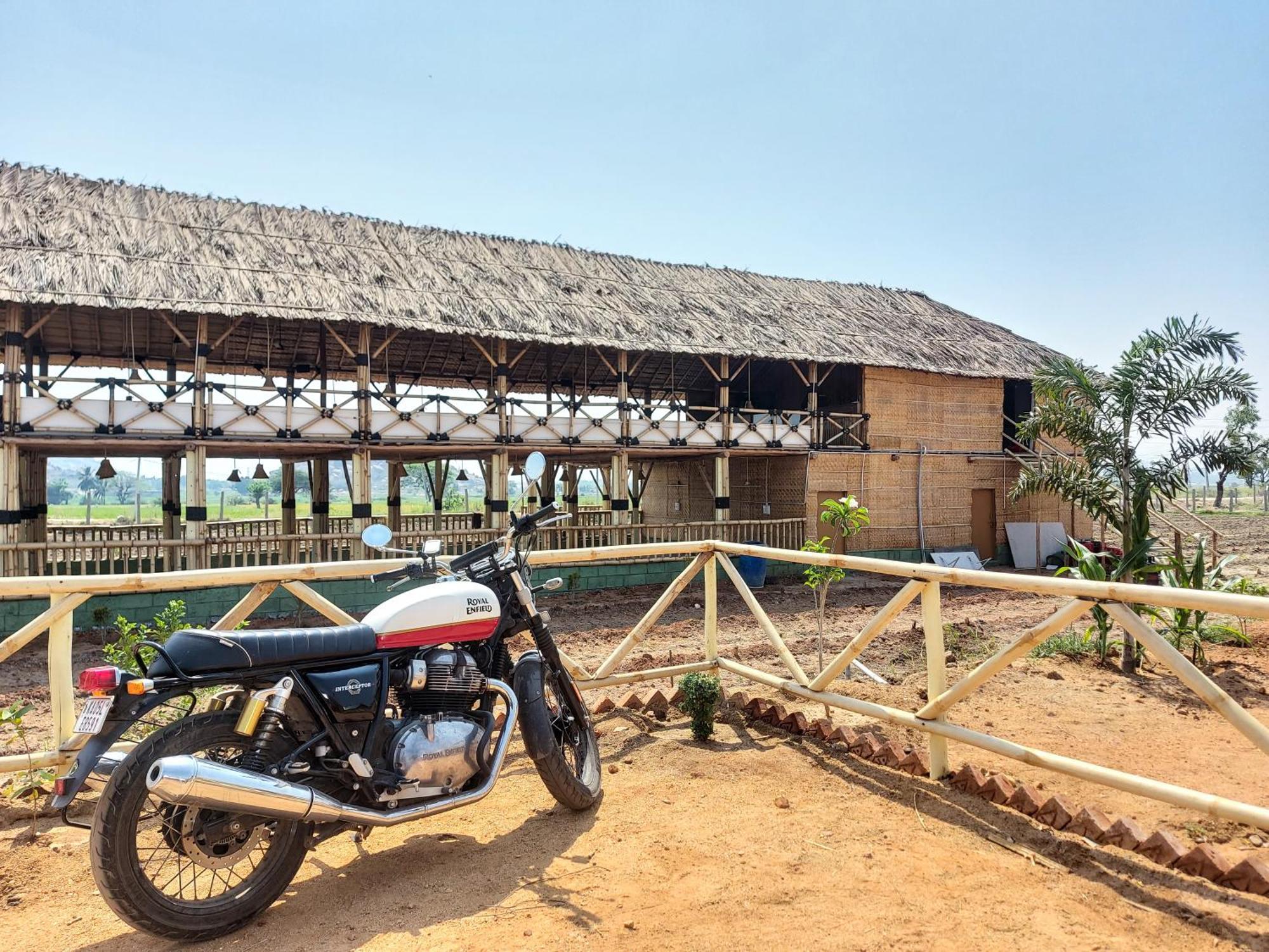 Guest house Mowgli's Cafe &