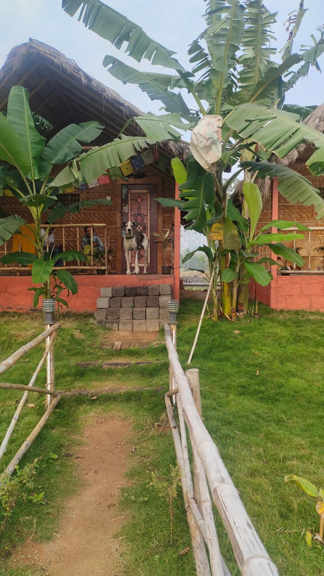 Waterfall Homestay