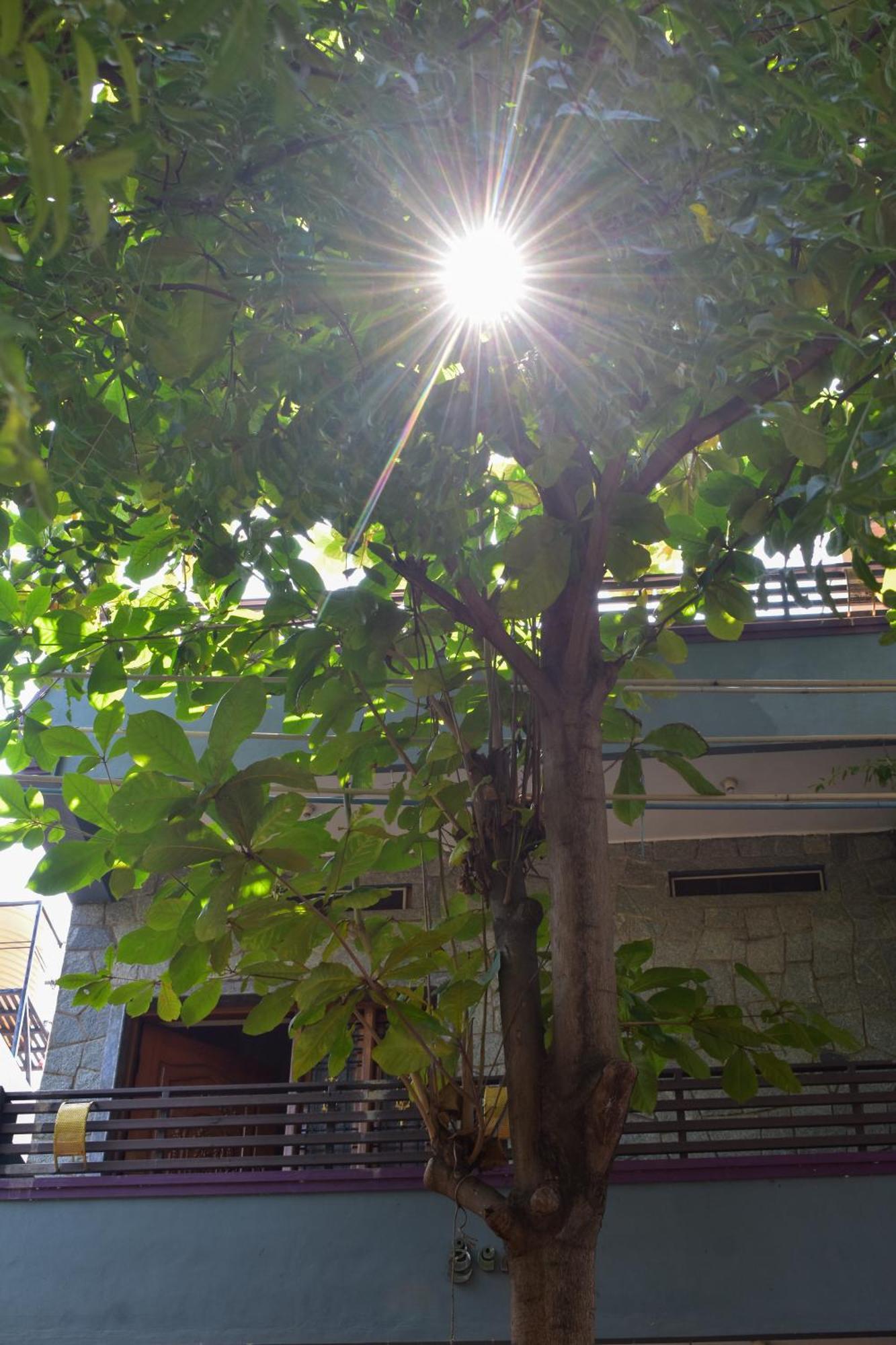 Prakash Homestay Hampi