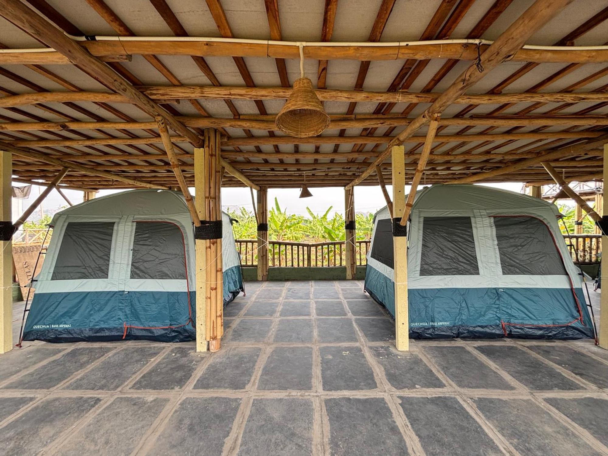Mowgli's Cafe & Guest house