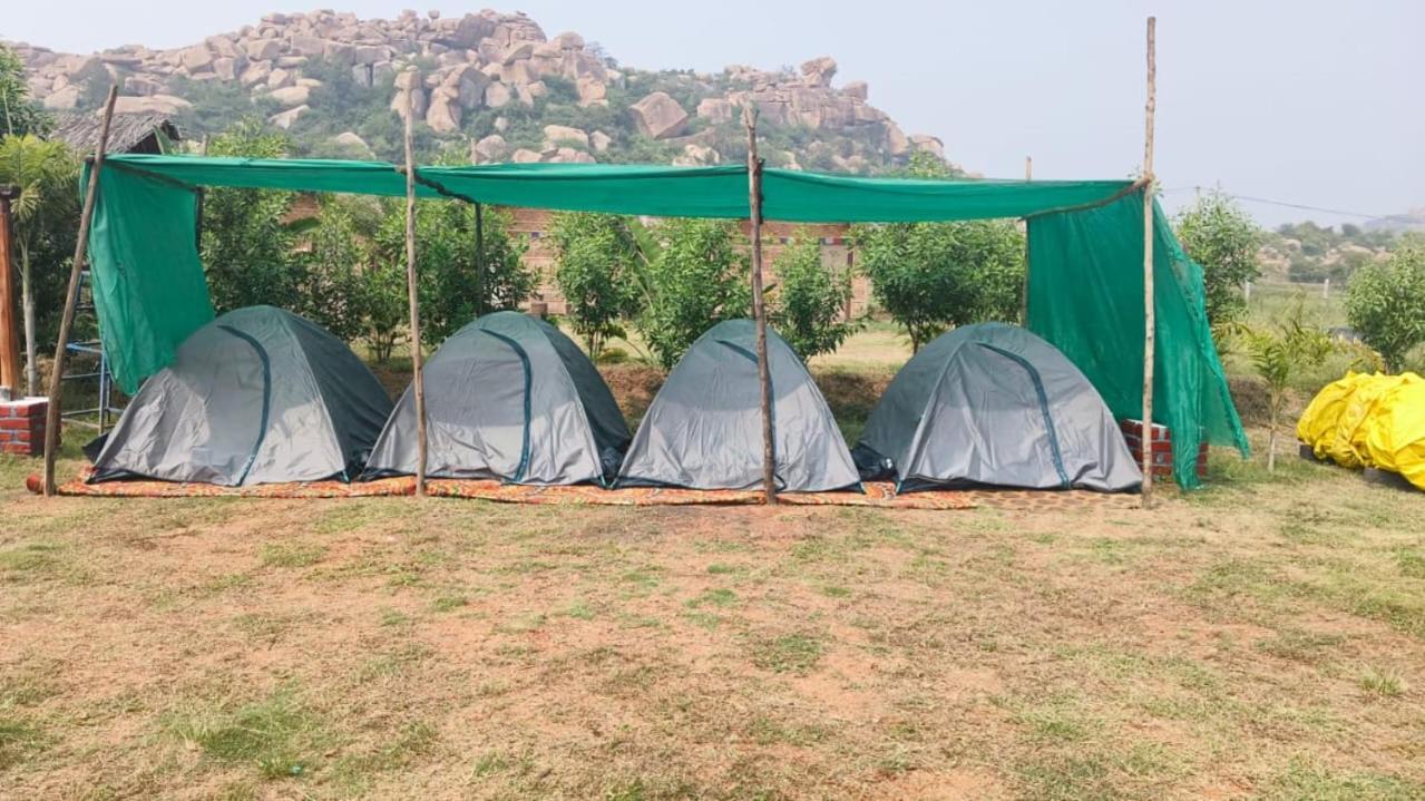 Natures Hampi