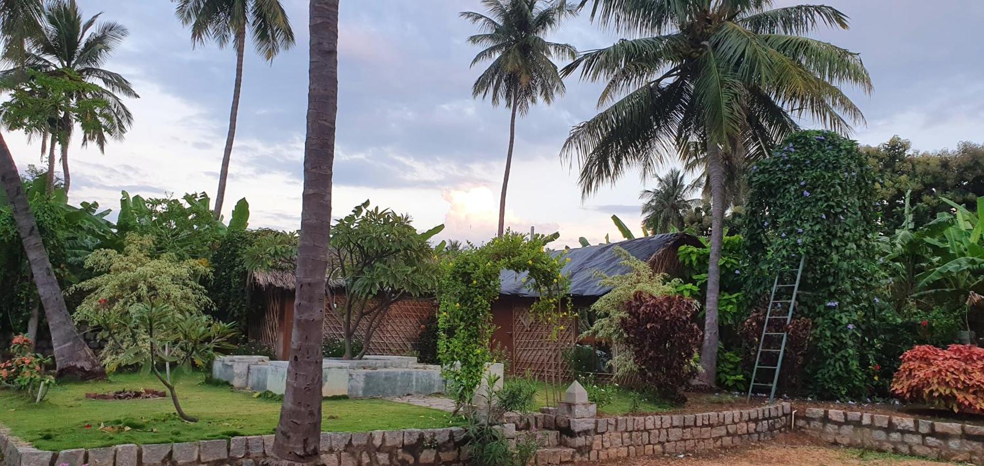 Little Banana Homestay Hampi