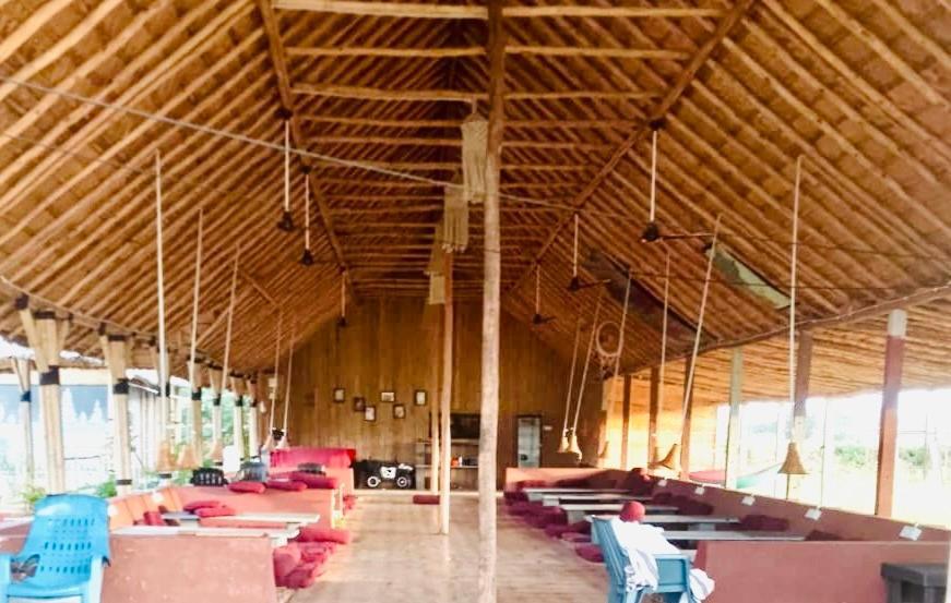 Bliss Eco