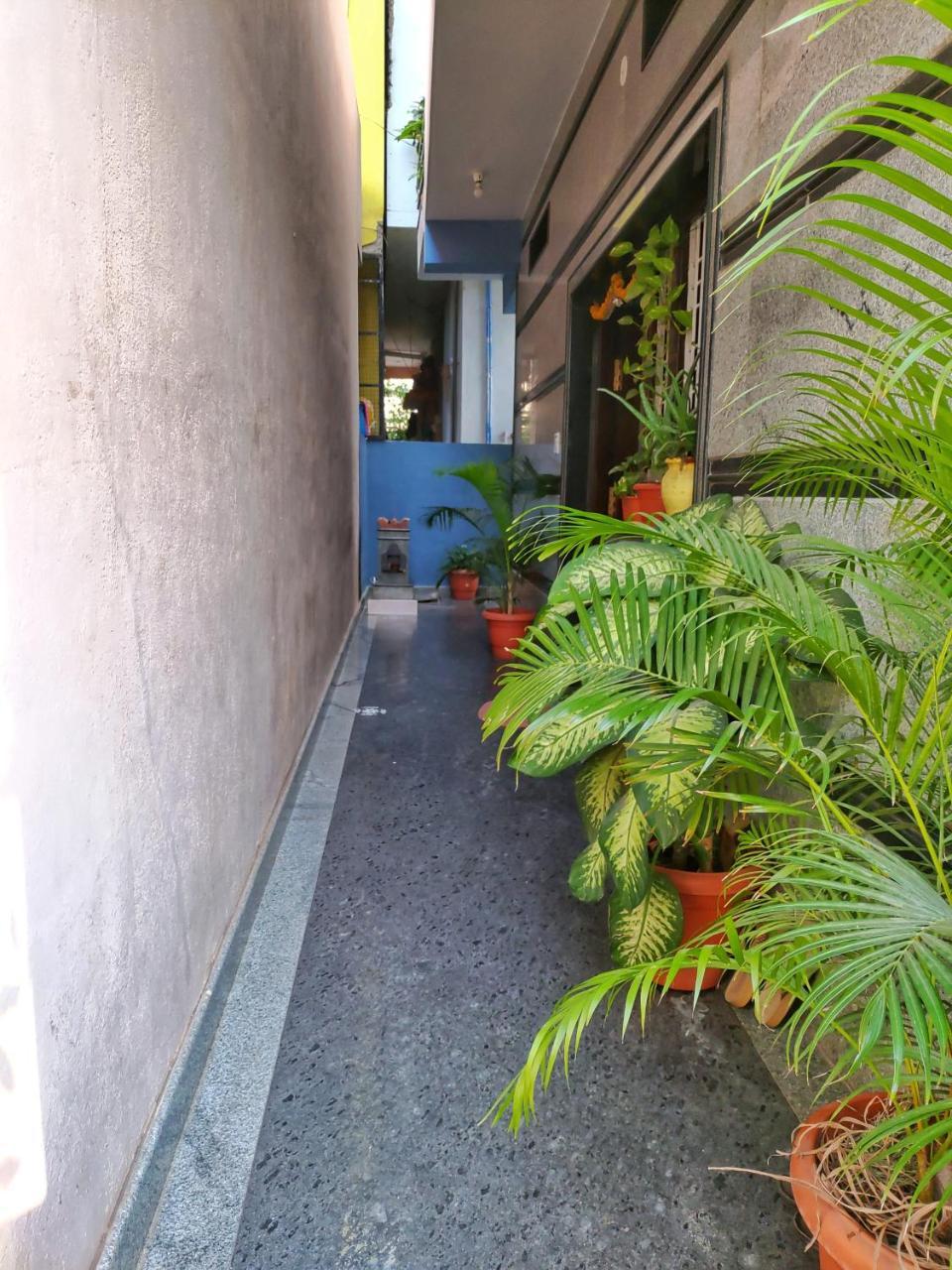 Apartment Suja *