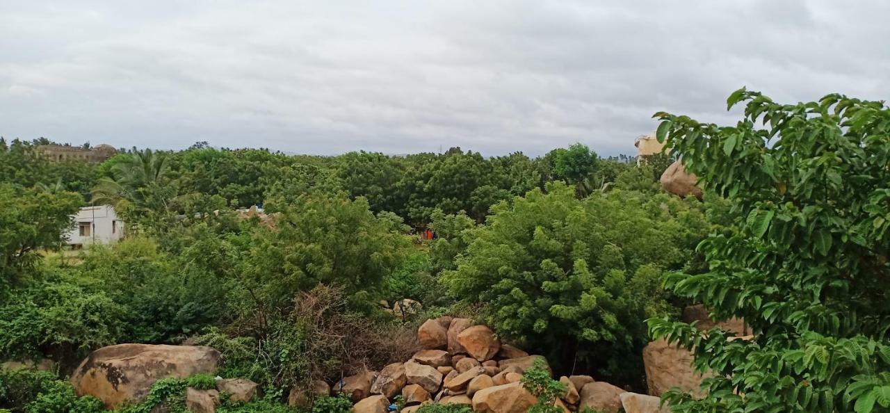 Guest house Gopi Hampi