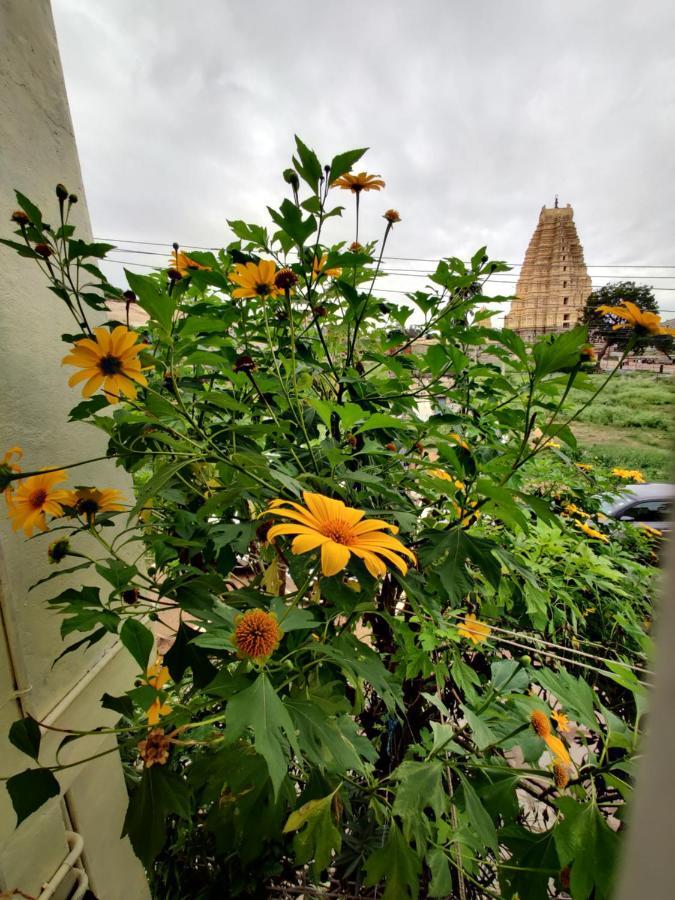 Ranjana * Hampi