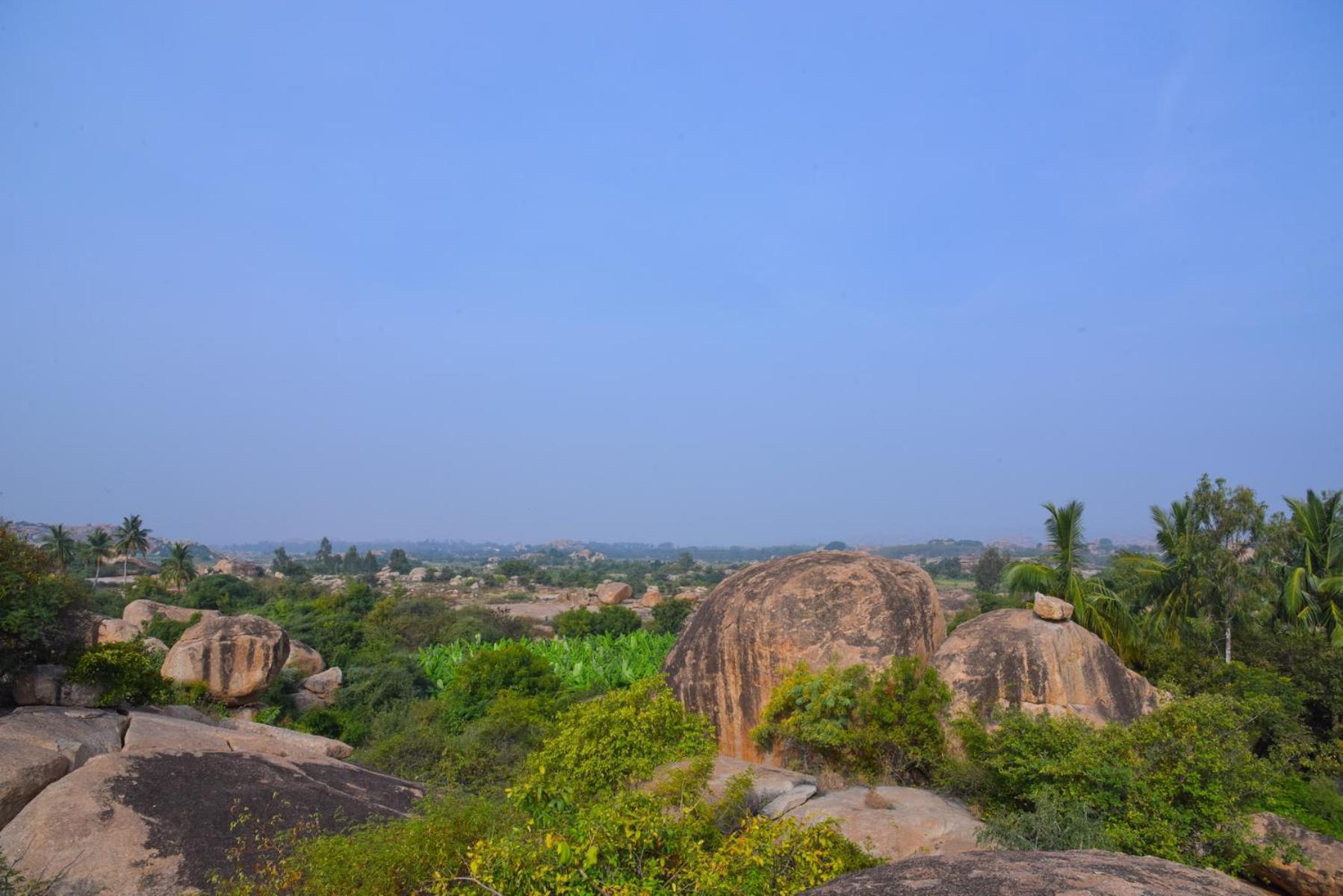 Gopi Plantation * Hampi